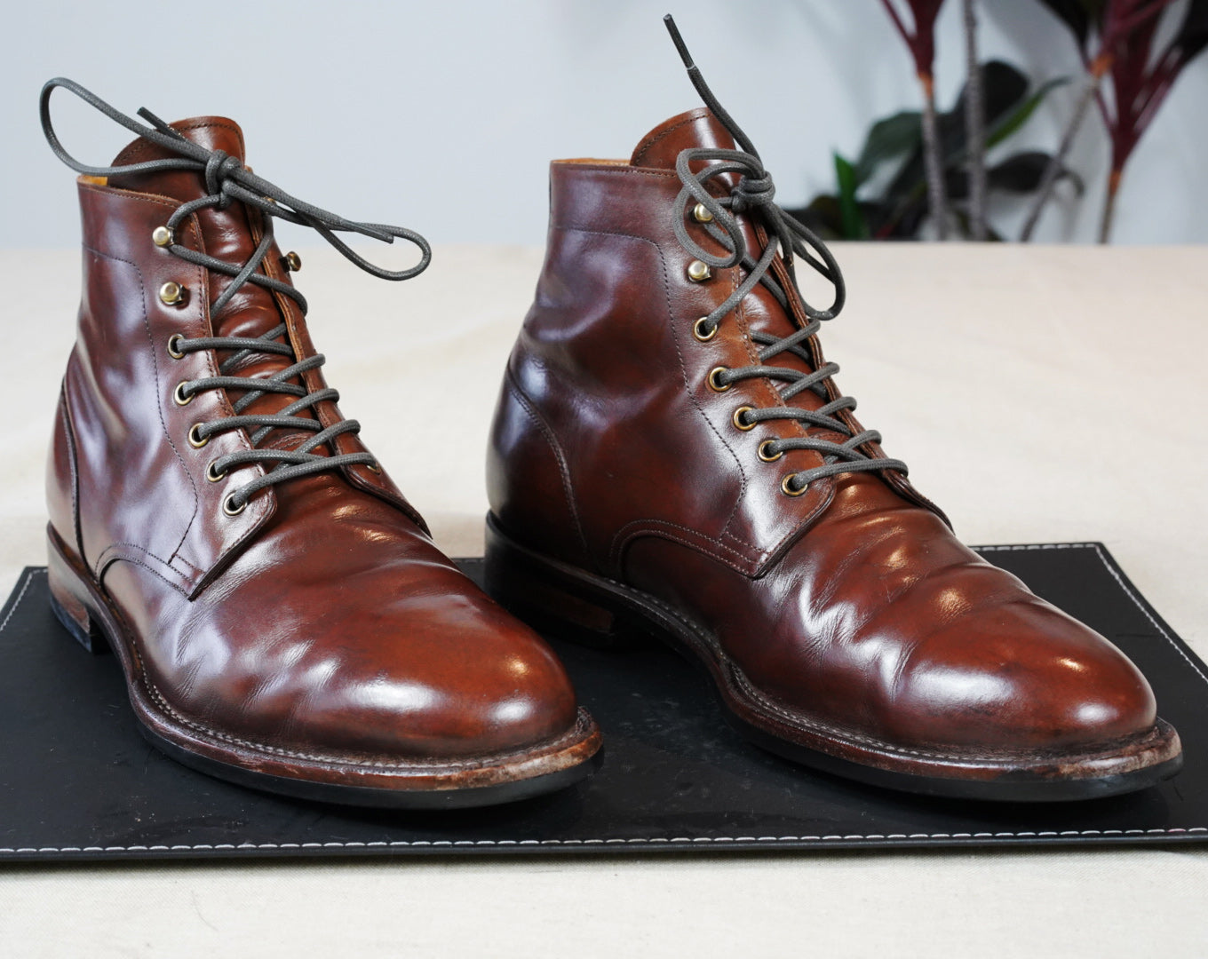 Restore Old Leather Shoes | Guide | Trimly Restore Old Leather Shoes | Guide | Trimly
